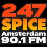 247Spice logo